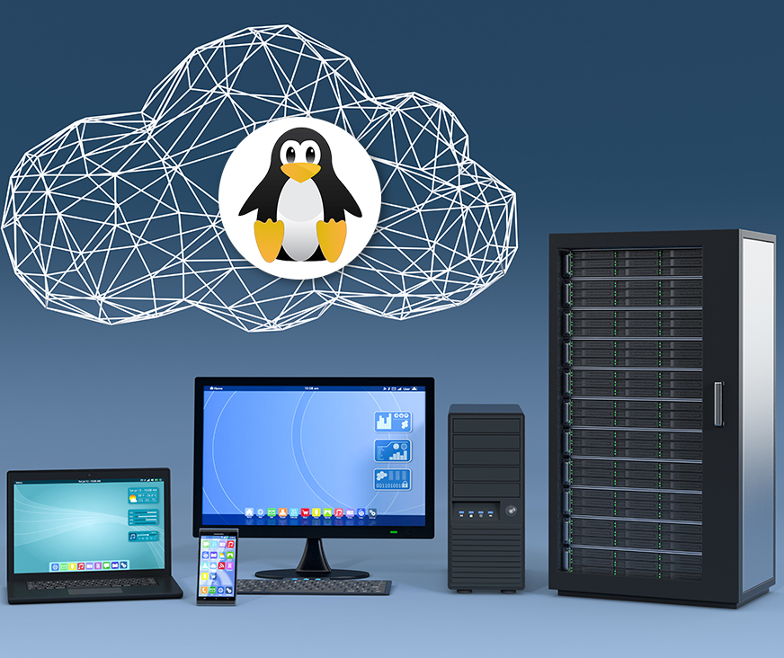 LINUX_HOST
